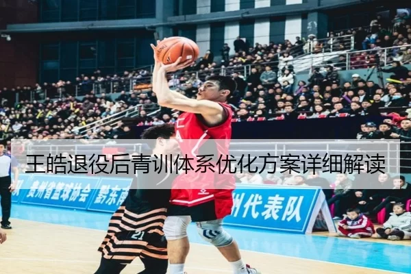 王皓退役后青训体系优化方案详细解读